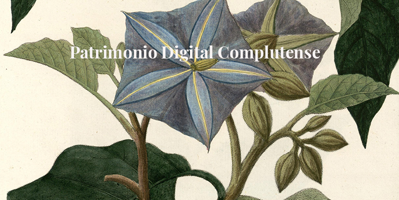 Descubre el Patrimonio Digital Complutense